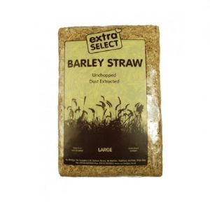 Select Barley Straw Large