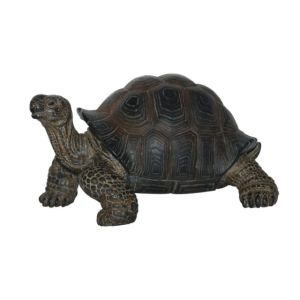 Pet Pals Baby Tortoise