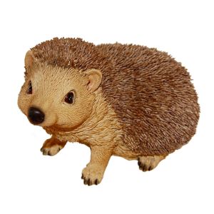 Real Life Hedgehog
