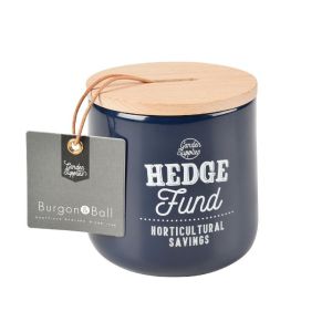 Hedge Fund Money Box Blue