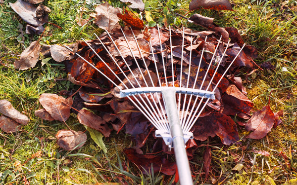 Autumn - Reviving Summer scorched lawns and prepping for Winter