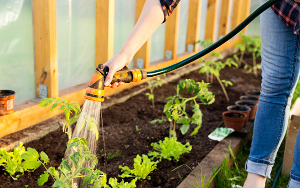 Prep your garden for your holiday