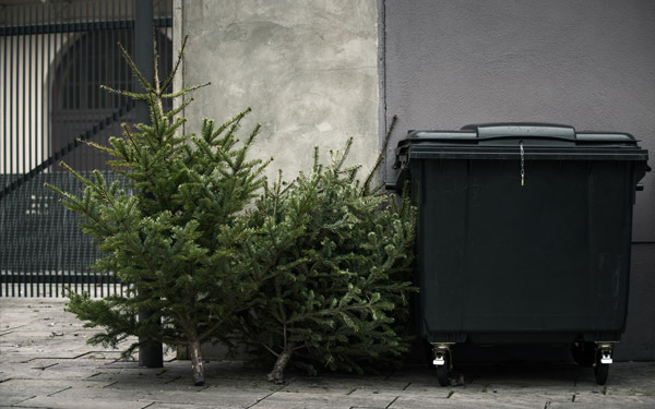How to recycle your old Christmas tree