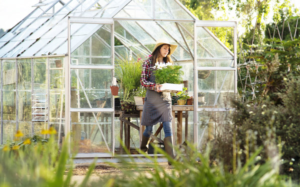 Summer greenhouse survival guide