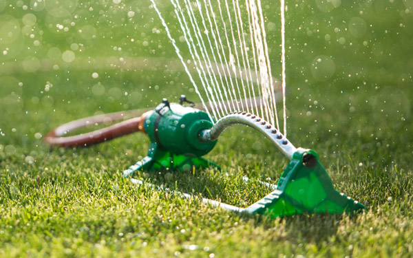 Summer Summer lawn mowing & watering