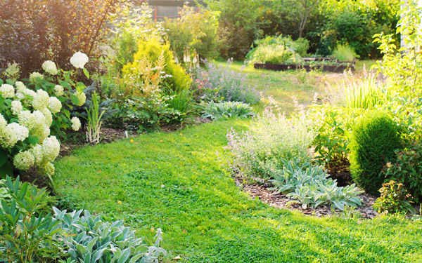 Top tips for garden design